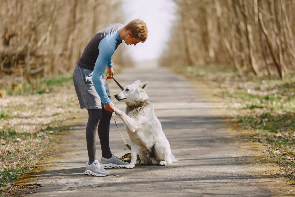 Man training dog on forest path.