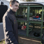Secure Dog Cages & Dog Walking in Cheltenham | Professional Care